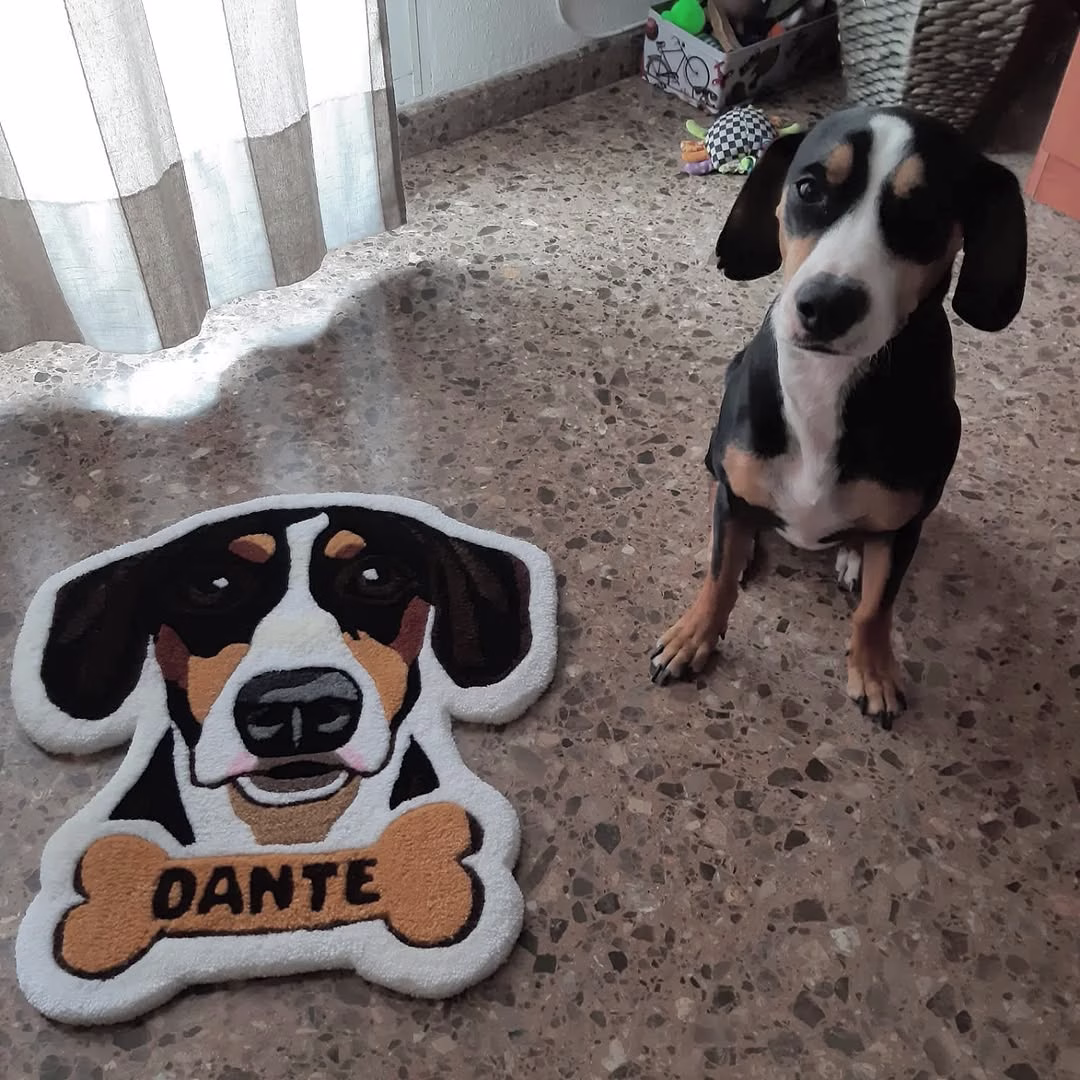 481832394 18039279854608906 7799154840395826289 N